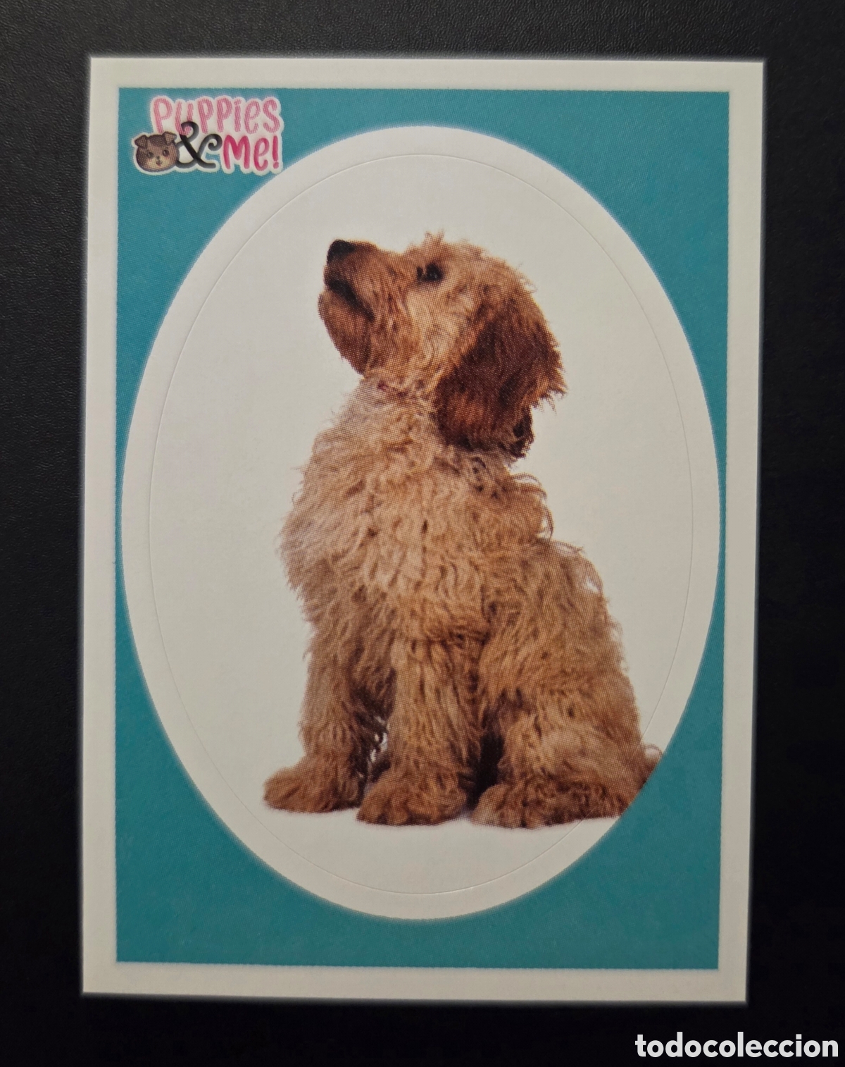 Coleccionismo Cromos antiguos: Cromo n&deg; 68 Puppies and me Panini 2021