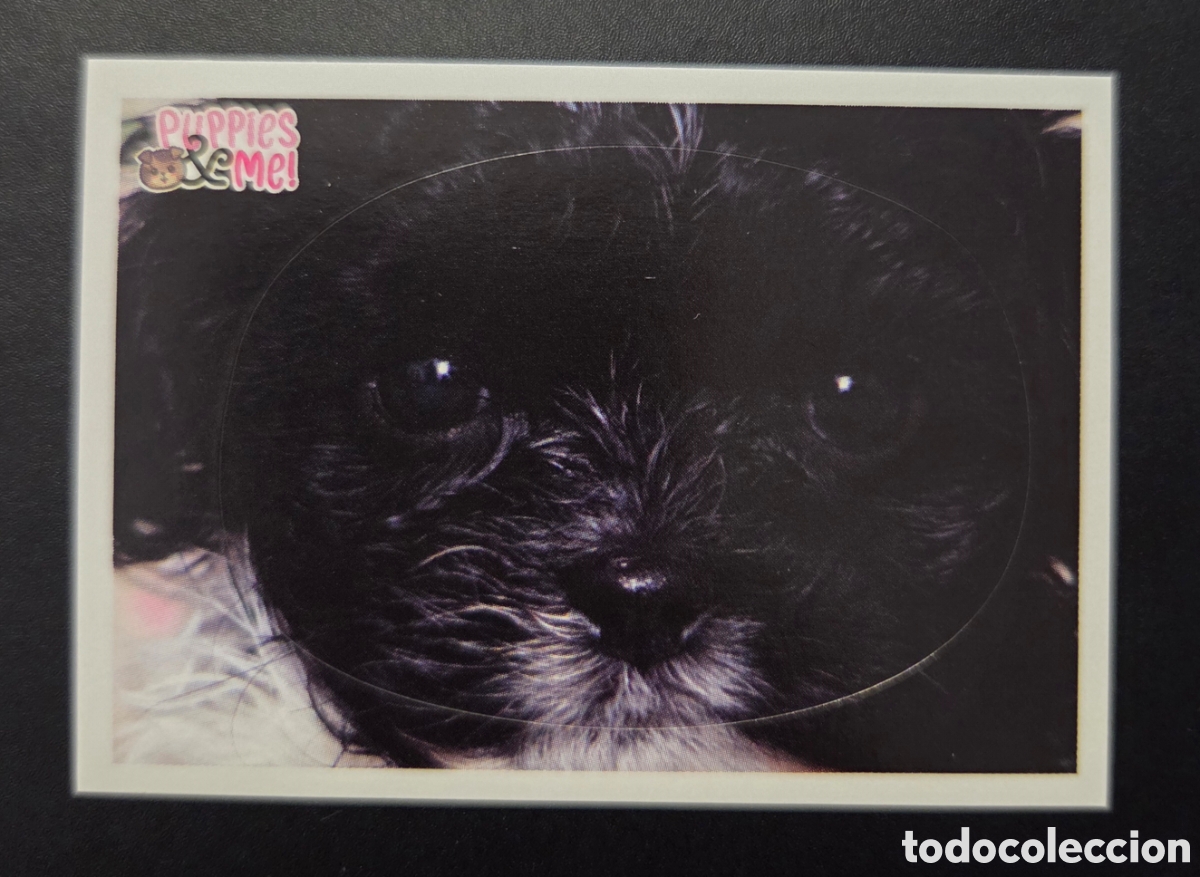 Coleccionismo Cromos antiguos: Cromo n&deg; 77 Puppies and me Panini 2021