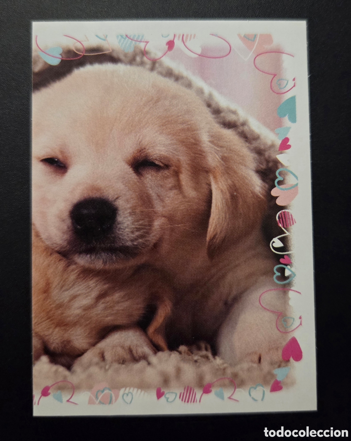 Coleccionismo Cromos antiguos: Cromo n&deg; 96 Puppies and me Panini 2021