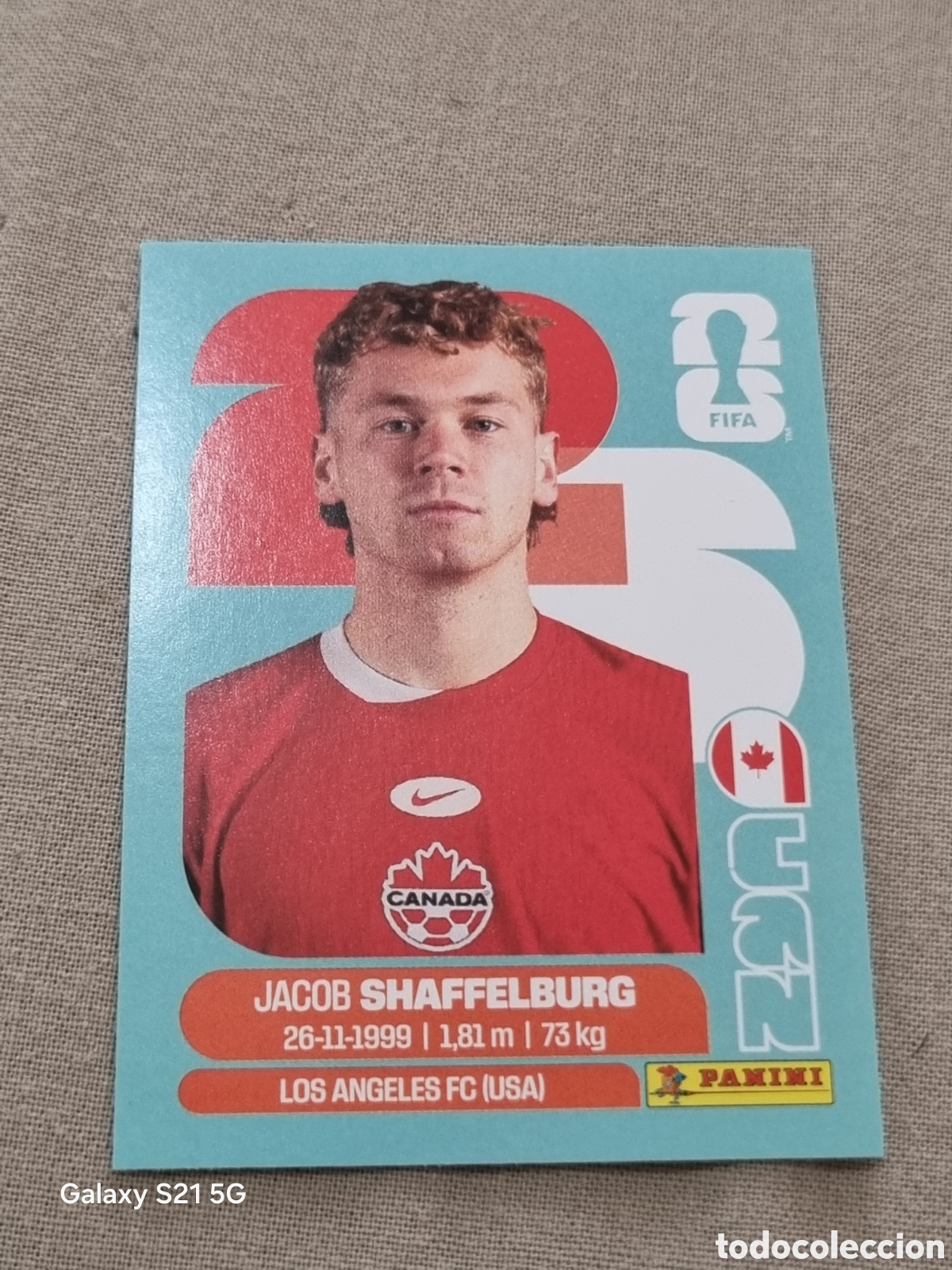 Coleccionismo Cromos antiguos: 14 - SHAFFLBURG , CANAD&Aacute; FIFA WORLD CUP 2026