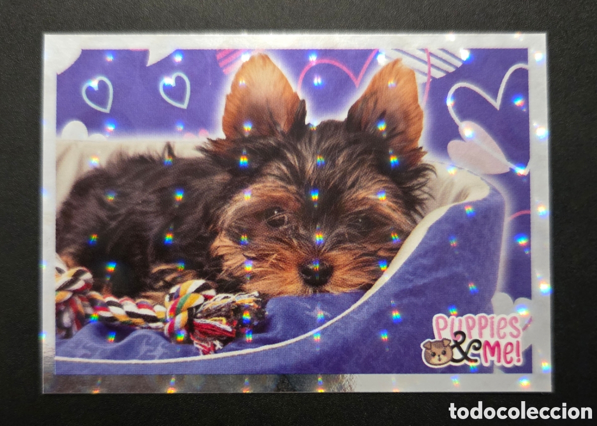 Coleccionismo Cromos antiguos: Cromo n&deg; 103 Puppies and me Panini 2021
