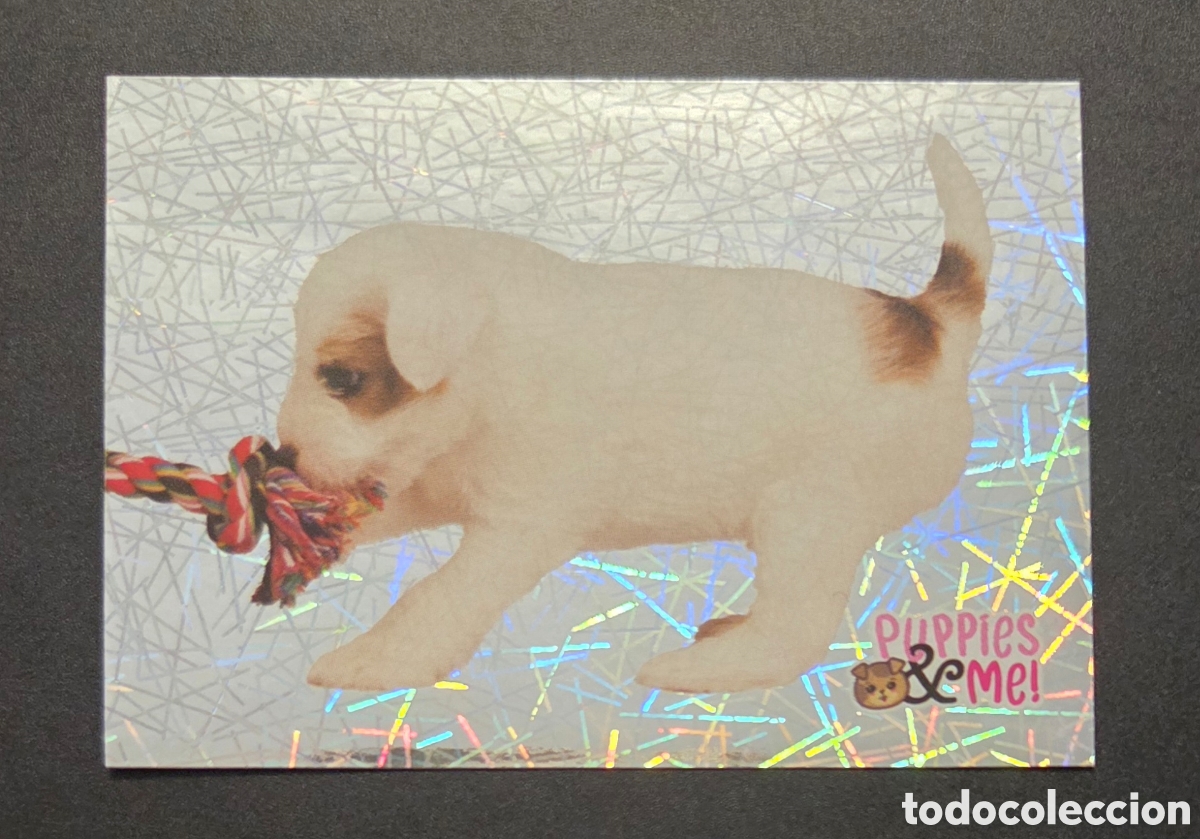 Coleccionismo Cromos antiguos: Cromo n&deg; 109 Puppies and me Panini 2021