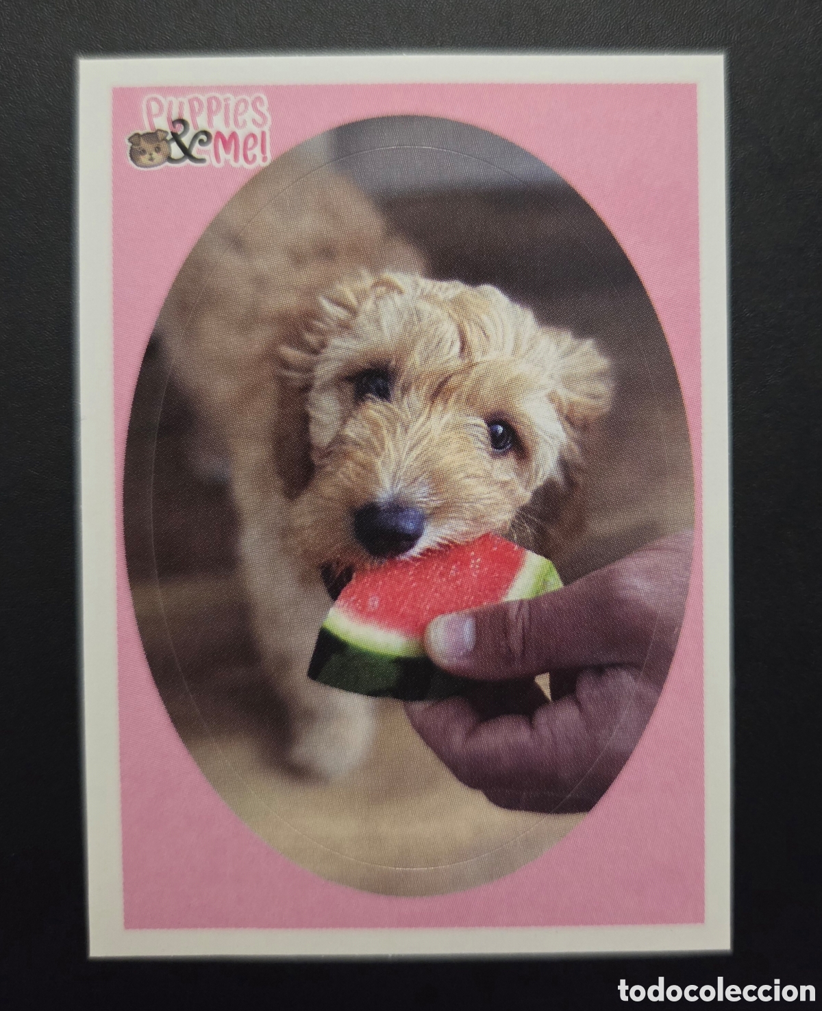 Coleccionismo Cromos antiguos: Cromo n&deg; 135 Puppies and me Panini 2021