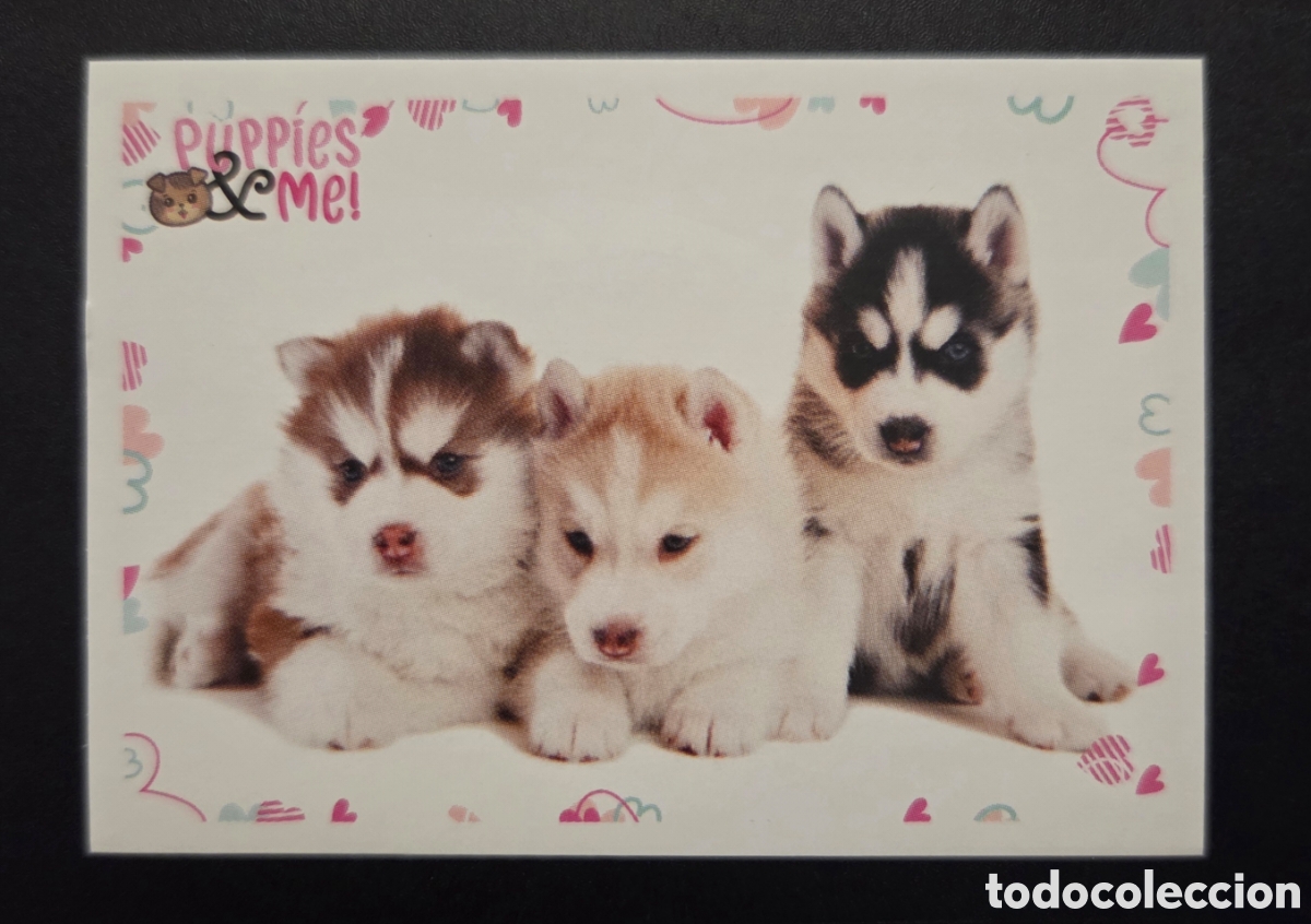 Coleccionismo Cromos antiguos: Cromo n&deg; 141 Puppies and me Panini 2021