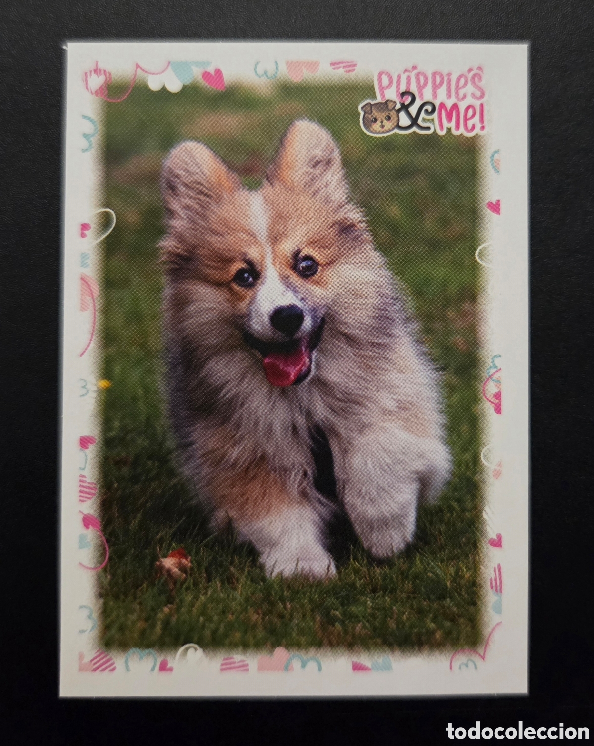 Coleccionismo Cromos antiguos: Cromo n&deg; 147 Puppies and me Panini 2021