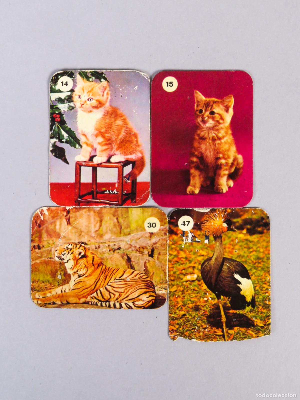 Coleccionismo Cromos antiguos: 4 cromos Animalandia publicidad arroz La Cazuela Tres Coronas Coll Vert 1974