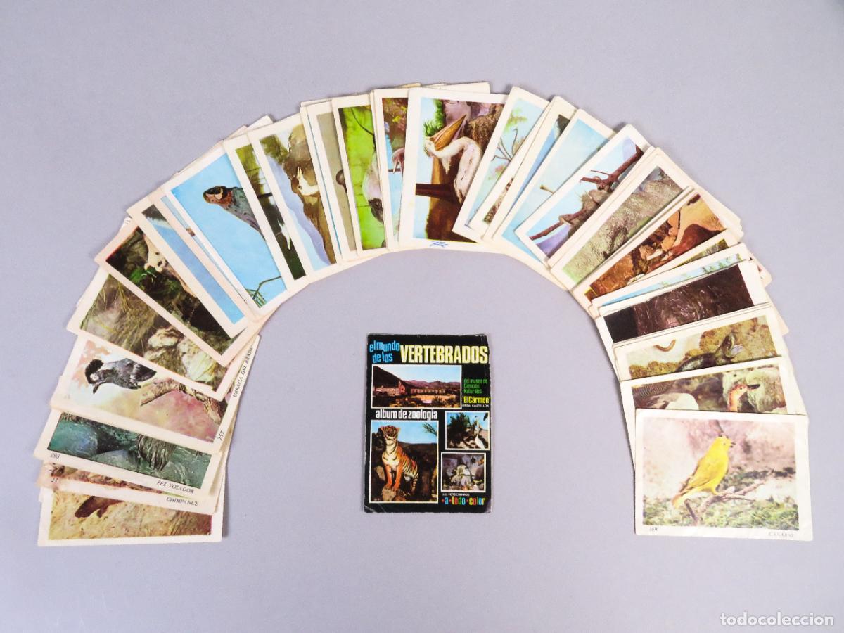 Coleccionismo Cromos antiguos: 62 cromos El Mundo de los Vertebrados &aacute;lbum zoolog&iacute;a Coled 1970 ver n&uacute;meros descripci&oacute;n