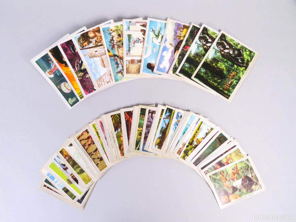 Coleccionismo Cromos antiguos: 108 cromos &aacute;lbum Vida y Color 2 1969 ver n&uacute;meros descripci&oacute;n