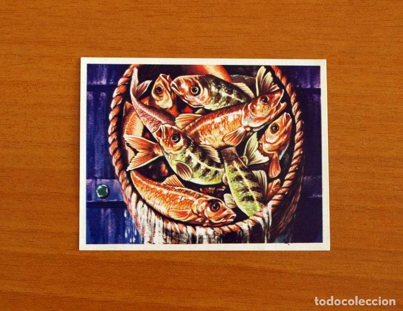 Coleccionismo Cromos antiguos: Asia y sus Habitantes-N&ordm; 223 Pesca en Jap&oacute;n -Editorial Maga A&ntilde;o 1972-Cromo Nunca Pegado