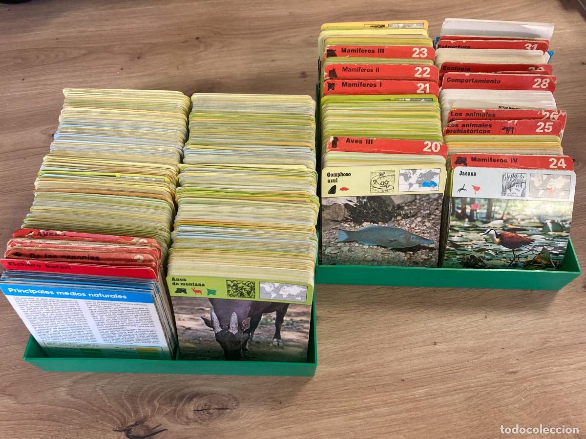 Coleccionismo Cromos antiguos: Fichero Safari Club +3000 fichas