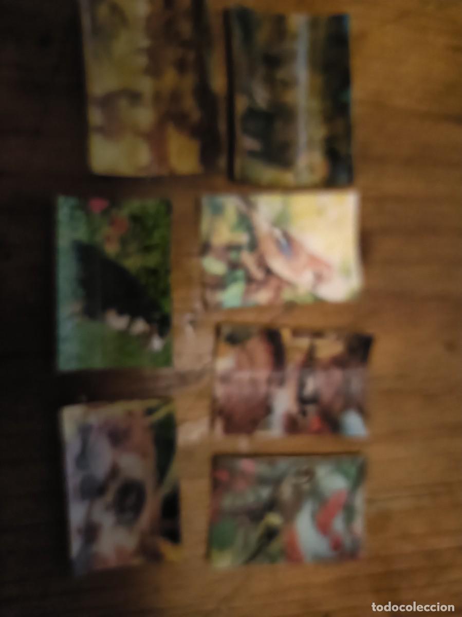 Coleccionismo Cromos antiguos: LOTE CROMOS PANRICO TRES D