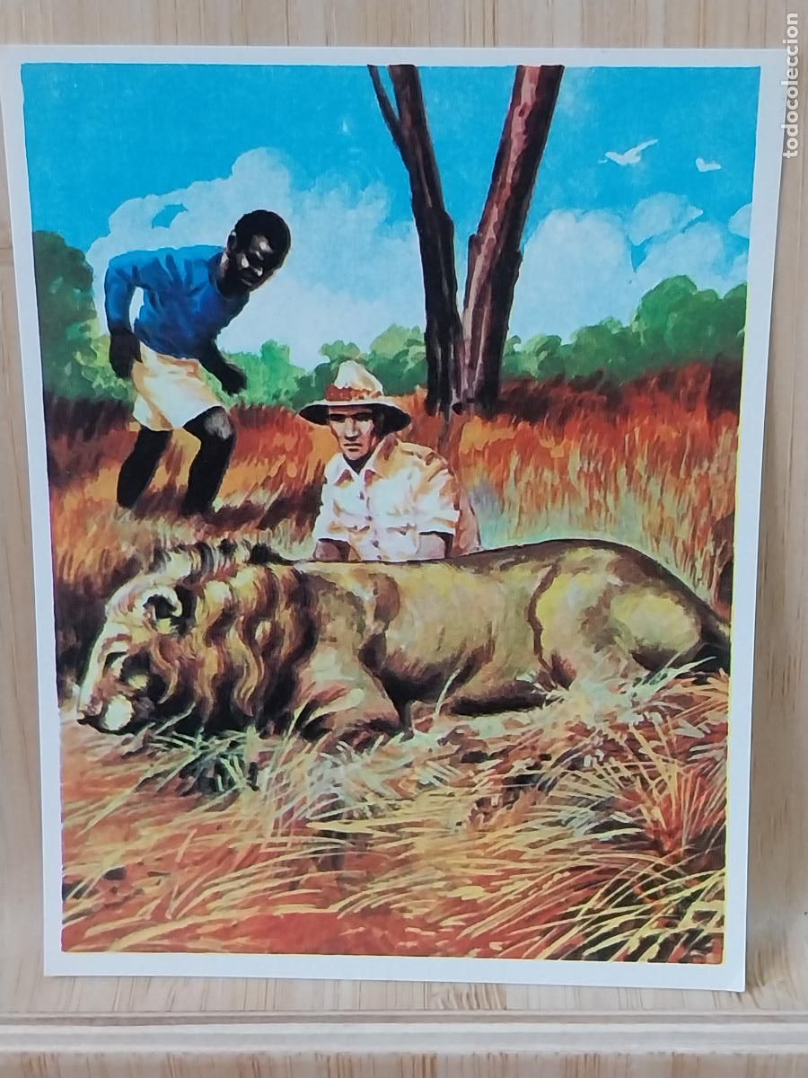 Coleccionismo Cromos antiguos: LEON CROMOHISTORIA A&Ntilde;O 1967 CROMO 112 *- SIN PEGAR NUNCA MAGA 9X7CMS ORIGINAL VINTAGE