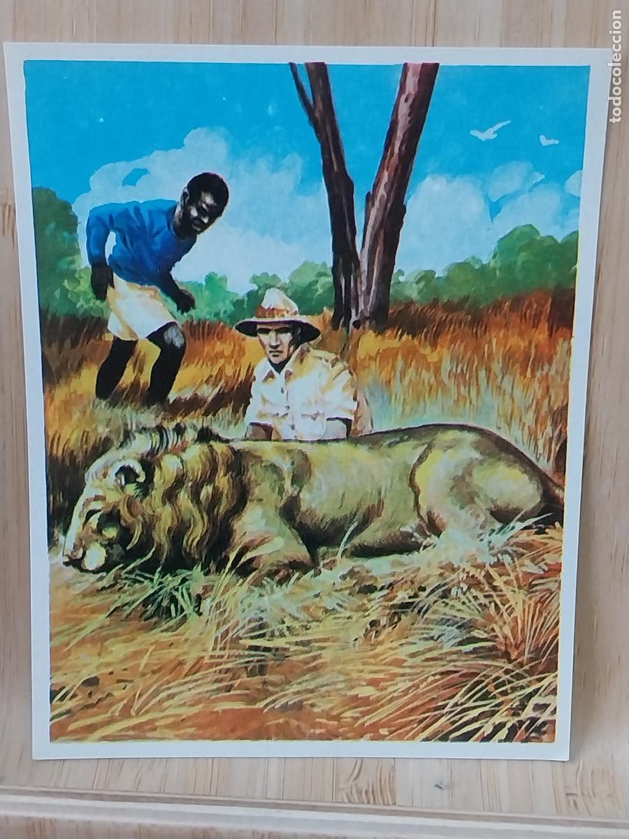 Coleccionismo Cromos antiguos: LEON CROMOHISTORIA A&Ntilde;O 1967 CROMO 112 ***** SIN PEGAR NUNCA MAGA 9X7CMS ORIGINAL VINTAGE