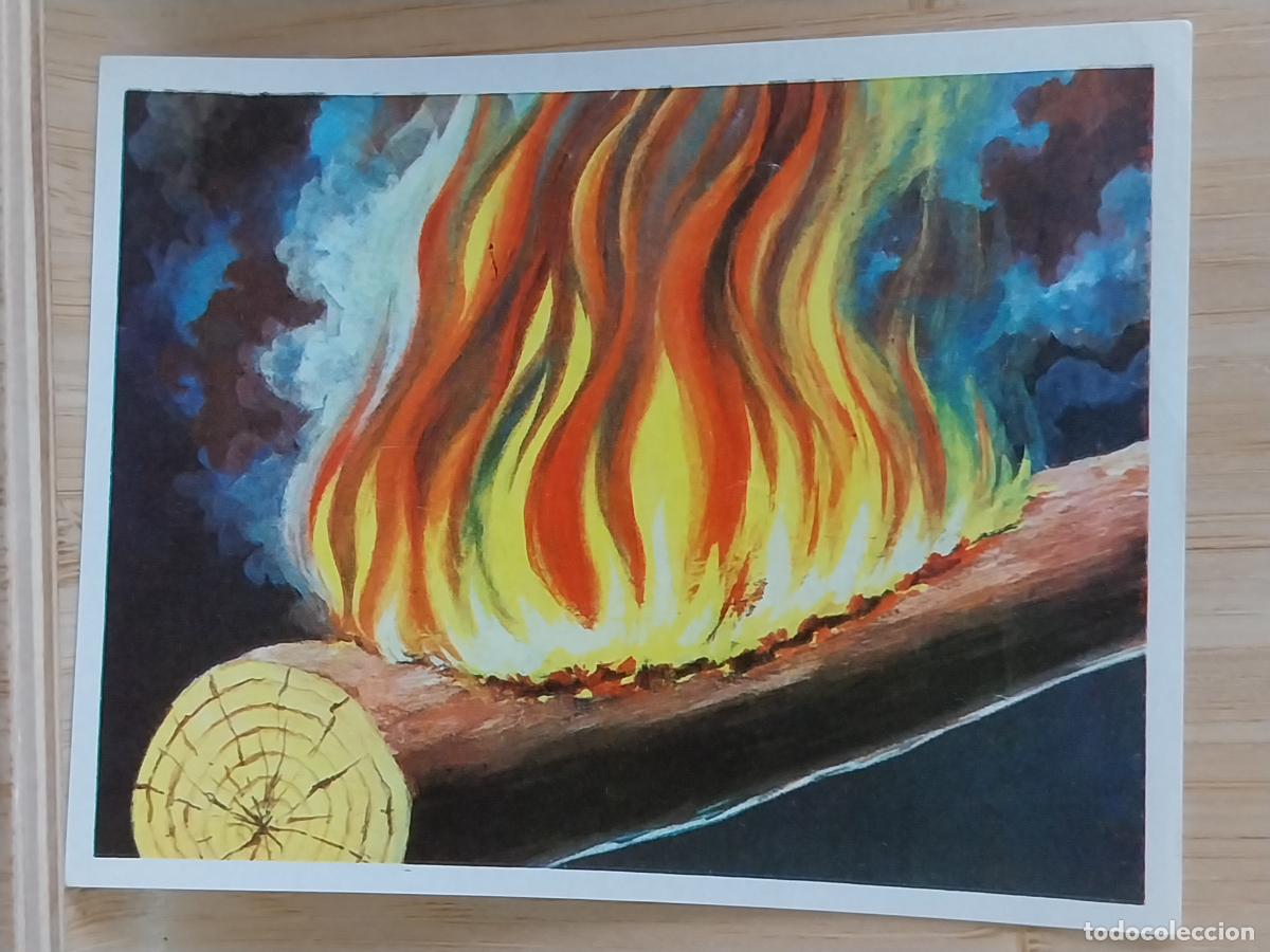 Coleccionismo Cromos antiguos: FUEGO CROMOHISTORIA A&Ntilde;O 1967 CROMO 202 *** SIN PEGAR NUNCA MAGA 9X7CMS ORIGINAL