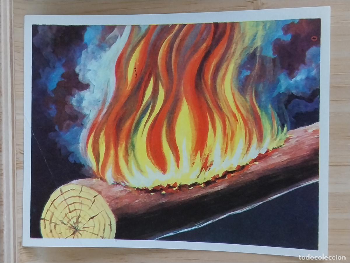 Coleccionismo Cromos antiguos: FUEGO CROMOHISTORIA A&Ntilde;O 1967 CROMO 202 ** SIN PEGAR NUNCA MAGA 9X7CMS ORIGINAL