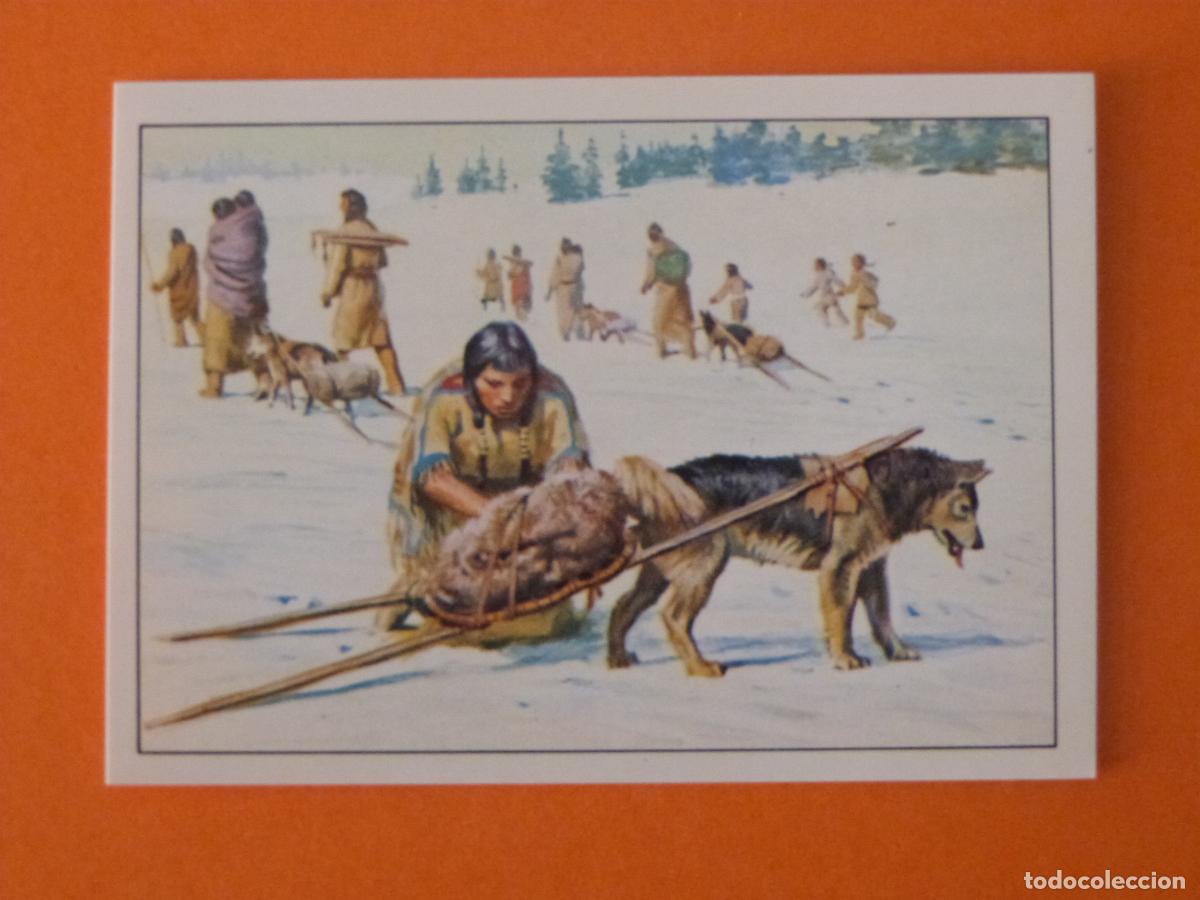 Coleccionismo Cromos antiguos: CROMO WEST SIN PEGAR N&ordm; 21 A&Ntilde;O 1993 ALBUM WEST PANINI