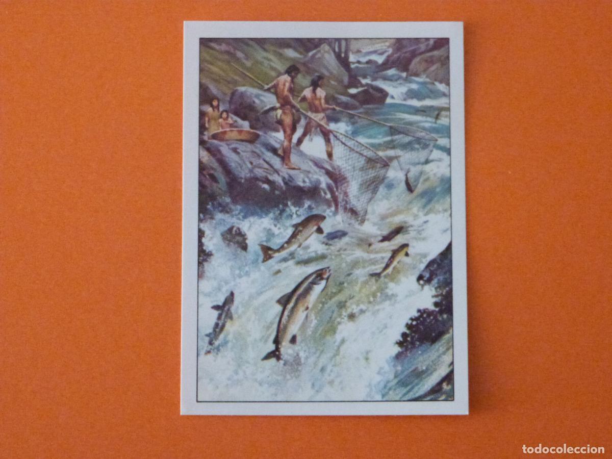 Coleccionismo Cromos antiguos: CROMO WEST SIN PEGAR N&ordm; 27 A&Ntilde;O 1993 ALBUM WEST PANINI