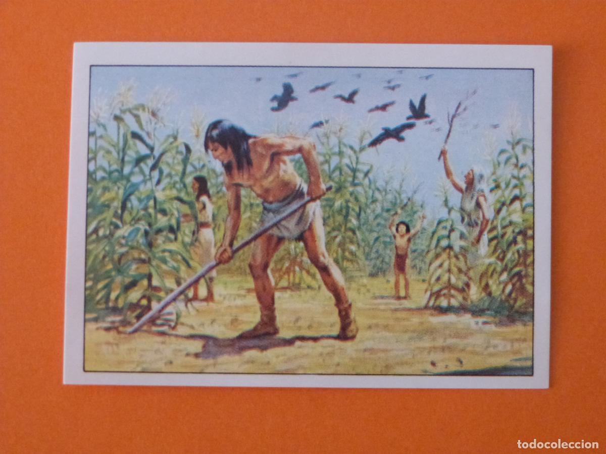 Coleccionismo Cromos antiguos: CROMO WEST SIN PEGAR N&ordm; 31 A&Ntilde;O 1993 ALBUM WEST PANINI