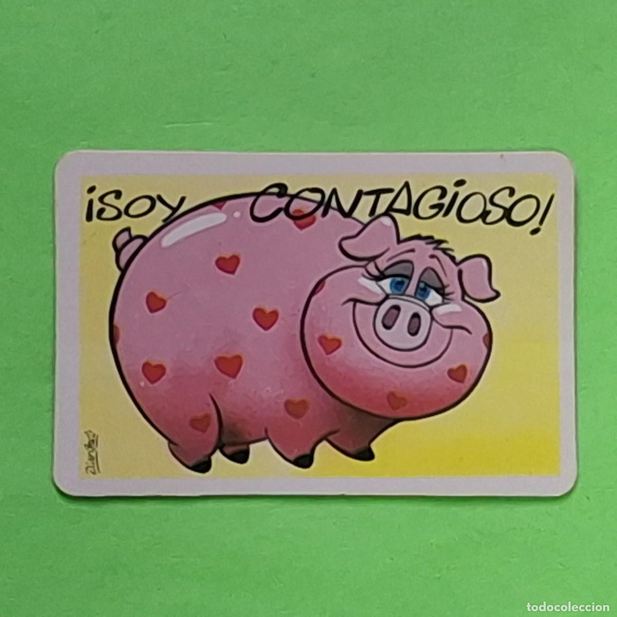 Collectable Antique Stickers: BOLLYCAO - PEGUI TARJETA - CROMO - SOY CONTAGIOSO - CERDITO CERDO MARRANO COCHINO