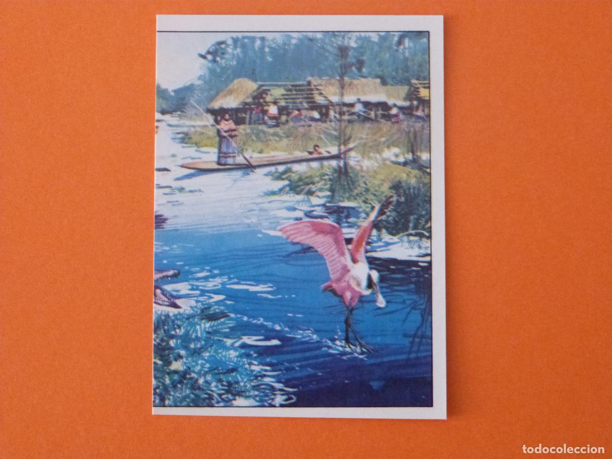 Coleccionismo Cromos antiguos: CROMO WEST SIN PEGAR N&ordm; 35 A&Ntilde;O 1993 ALBUM WEST PANINI