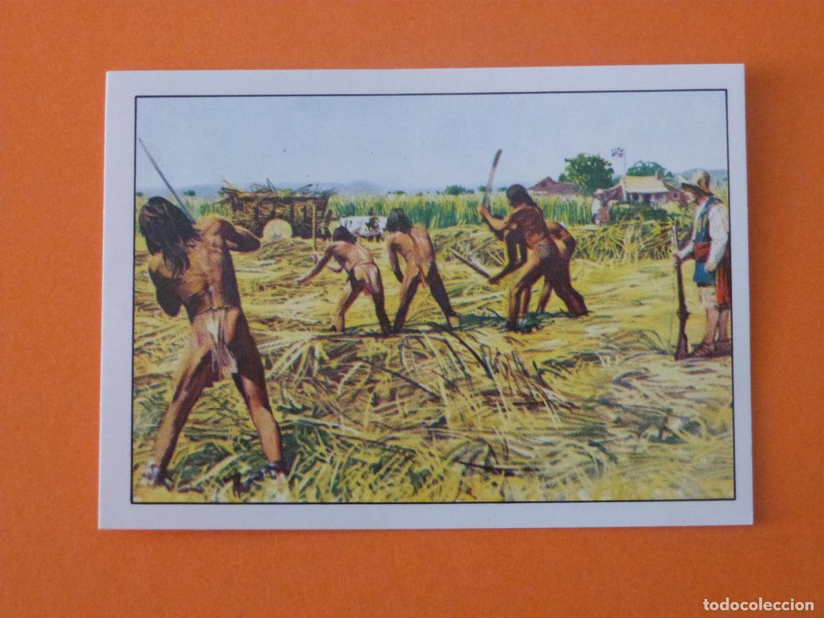 Coleccionismo Cromos antiguos: CROMO WEST SIN PEGAR N&ordm; 49 A&Ntilde;O 1993 ALBUM WEST PANINI