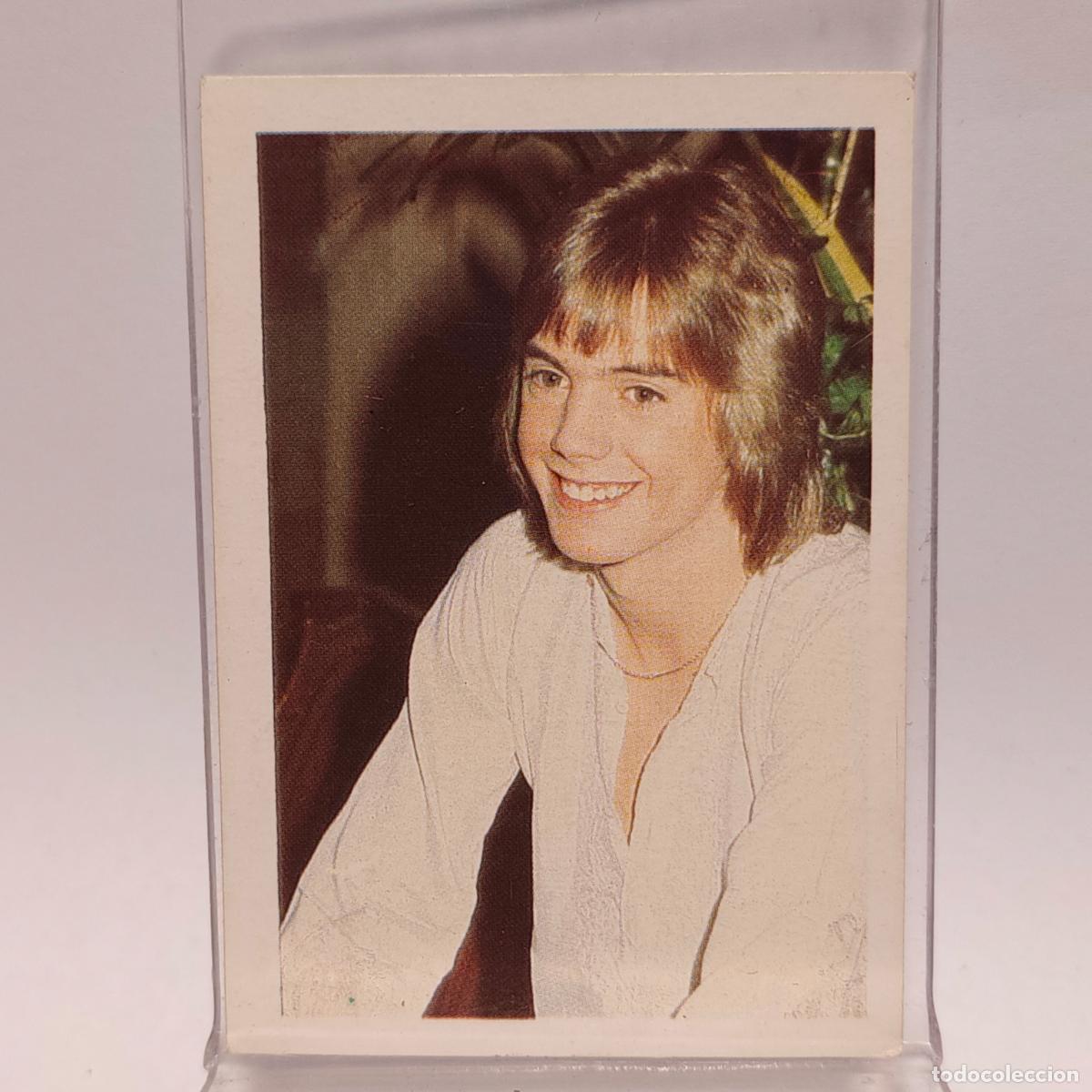 Collezionismo Figurine antiche: CROMO DE SHAUN CASSIDY SIN PEGAR N&ordm; 74 A&Ntilde;O 1982 DEL ALBUM SHOW DE ESTRELLAS DE MAGA F2