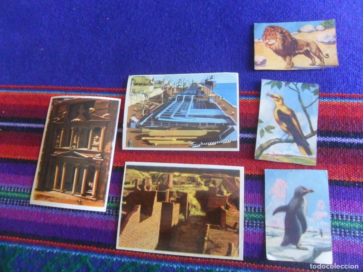 Collectable Antique Stickers: CROMO NUNCA PEGADO LA VUELTA AL MUNDO CON BIMBO 166 167 168. REGALO 3 CROMOS ZOOLOG&Iacute;A GR&Aacute;FICA BARSAL