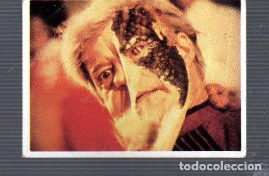Coleccionismo Cromos antiguos: CROMO DE SERIE DE LA TELE V EDITOR WARNER BROS EL A&Ntilde;O 1984 N&ordm; 95 ESTUVIERON PEGADOS