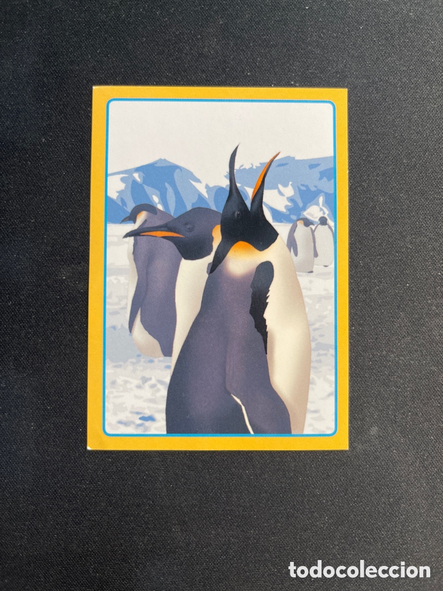 Coleccionismo Cromos antiguos: Cromo 546 Gran Album del Mundo Animal 2013 Animales Panini