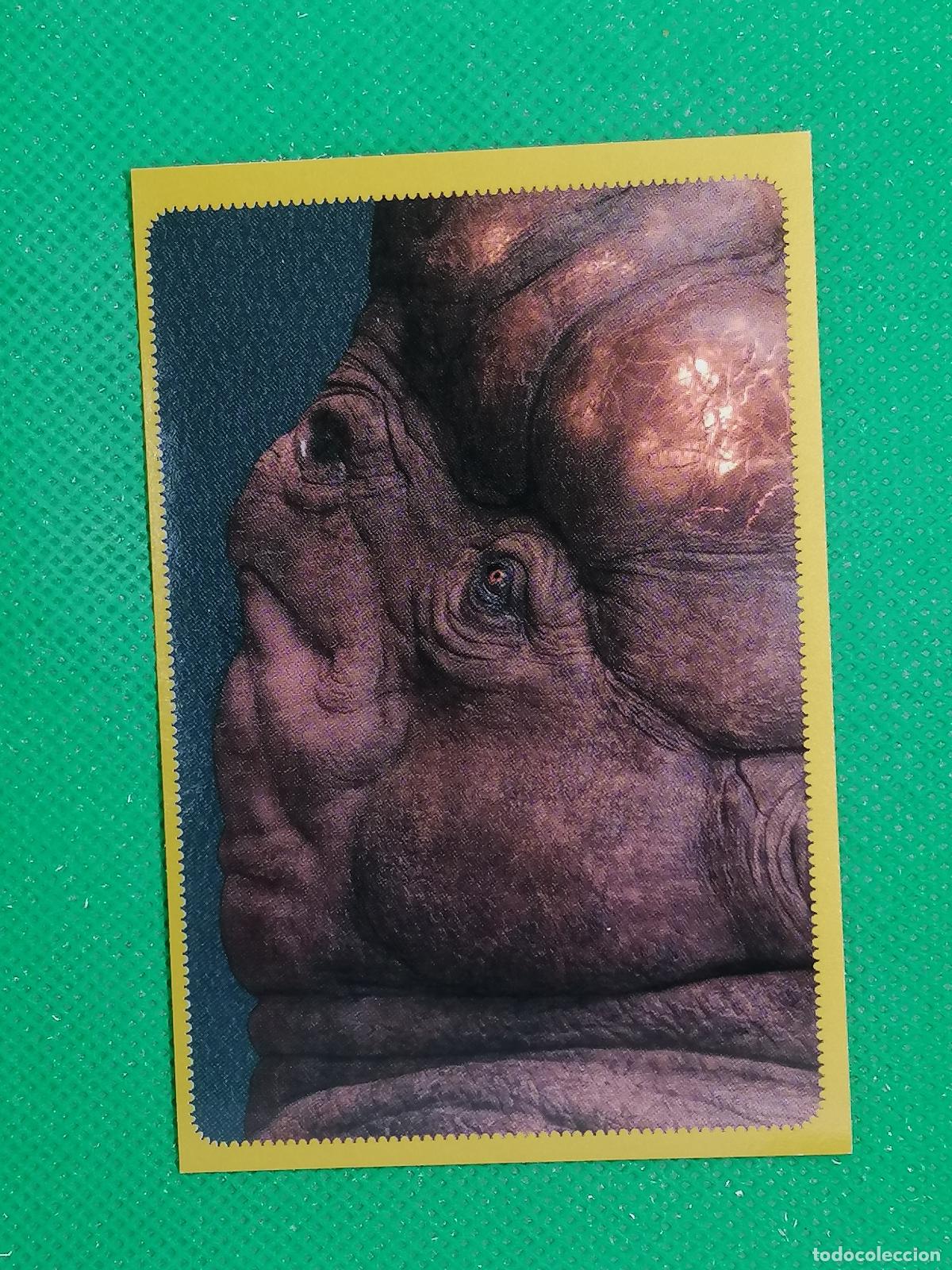 Coleccionismo Cromos antiguos: 65 HARRY POTTER CRIATURAS FANTASTICAS DE LAS PELICULAS 2023 WARNER BROS PANINI