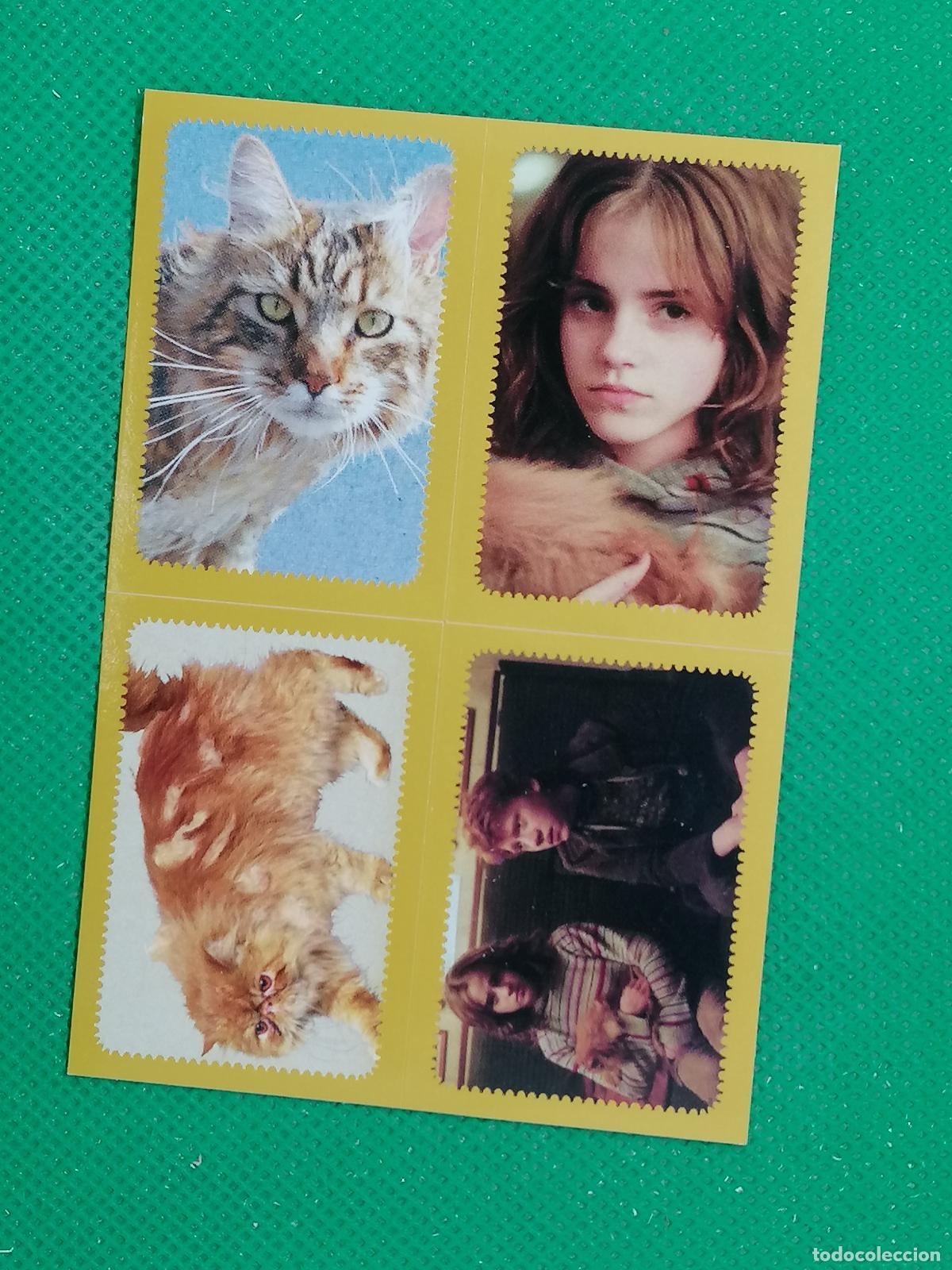 Coleccionismo Cromos antiguos: 19 A B C D HARRY POTTER CRIATURAS FANTASTICAS DE LAS PELICULAS 2023 WARNER BROS PANINI