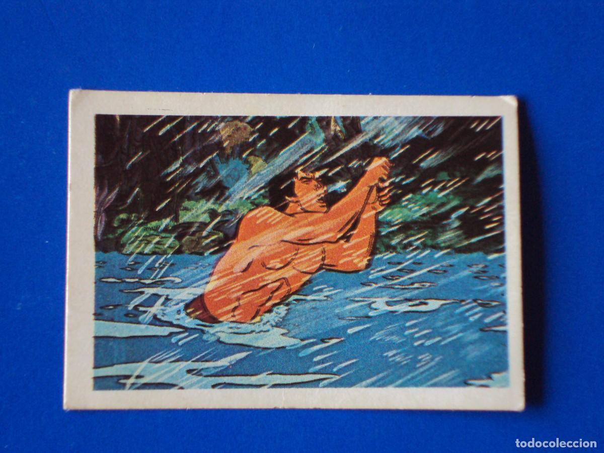 Coleccionismo Cromos antiguos: CROMO N&Uacute;MERO 13 TARZAN EDITORIAL FHER 1979 NUNCA PEGADO SIN PEGAR