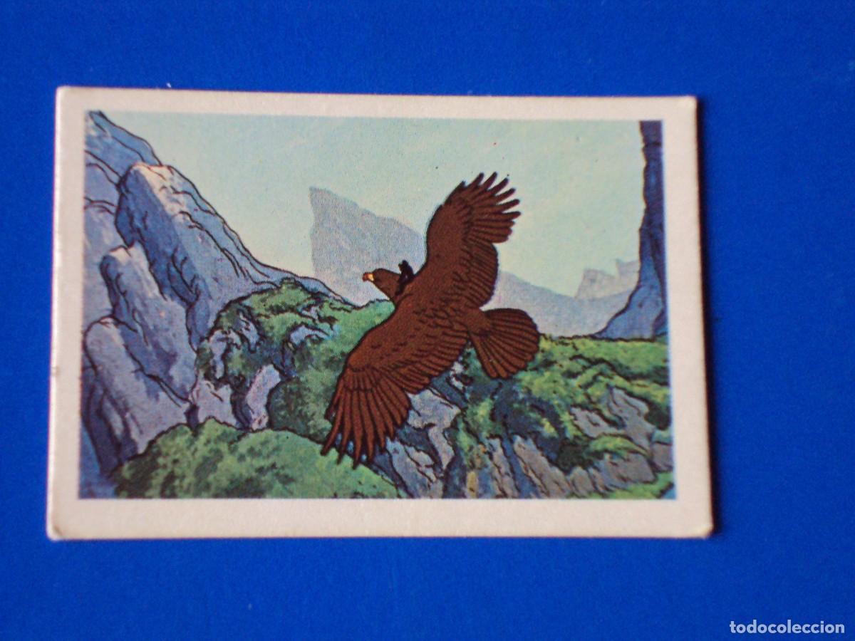 Coleccionismo Cromos antiguos: CROMO N&Uacute;MERO 43 TARZAN EDITORIAL FHER 1979 NUNCA PEGADO SIN PEGAR