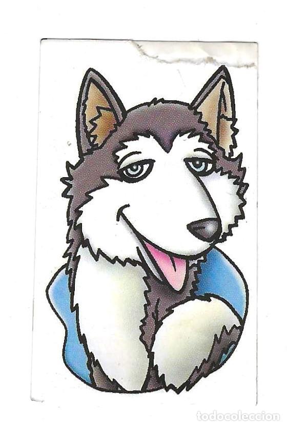 Coleccionismo Cromos antiguos: BOLLYCAO -- AMIGOS Y COLEGAS -- N&ordm; 25 HUSKY
