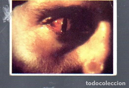 Coleccionismo Cromos antiguos: CROMO DE SERIE DE LA TELE V EDITOR WARNER BROS EL A&Ntilde;O 1984 N&ordm; 23 ESTUVIERON PEGADOS