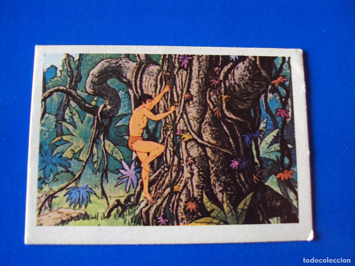 Coleccionismo Cromos antiguos: CROMO N&Uacute;MERO 86 TARZAN EDITORIAL FHER 1979 NUNCA PEGADO SIN PEGAR