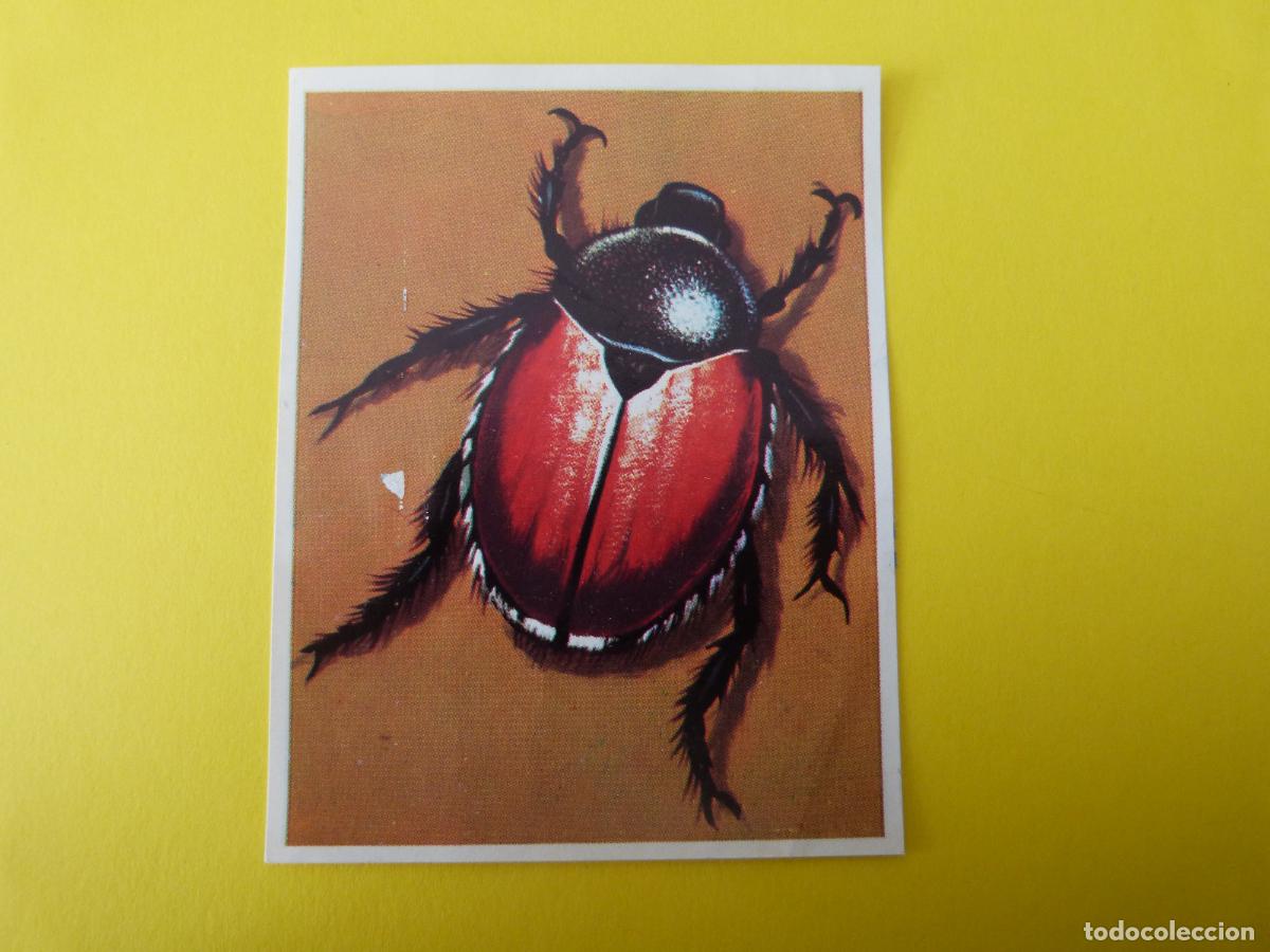 Coleccionismo Cromos antiguos: CROMO DE ASIA Y SUS HABITANTES DESPEGADO N&ordm; 137 DEL ALBUM ASIA Y SUS HABITANTES A&Ntilde;O 1972 DE MAGA
