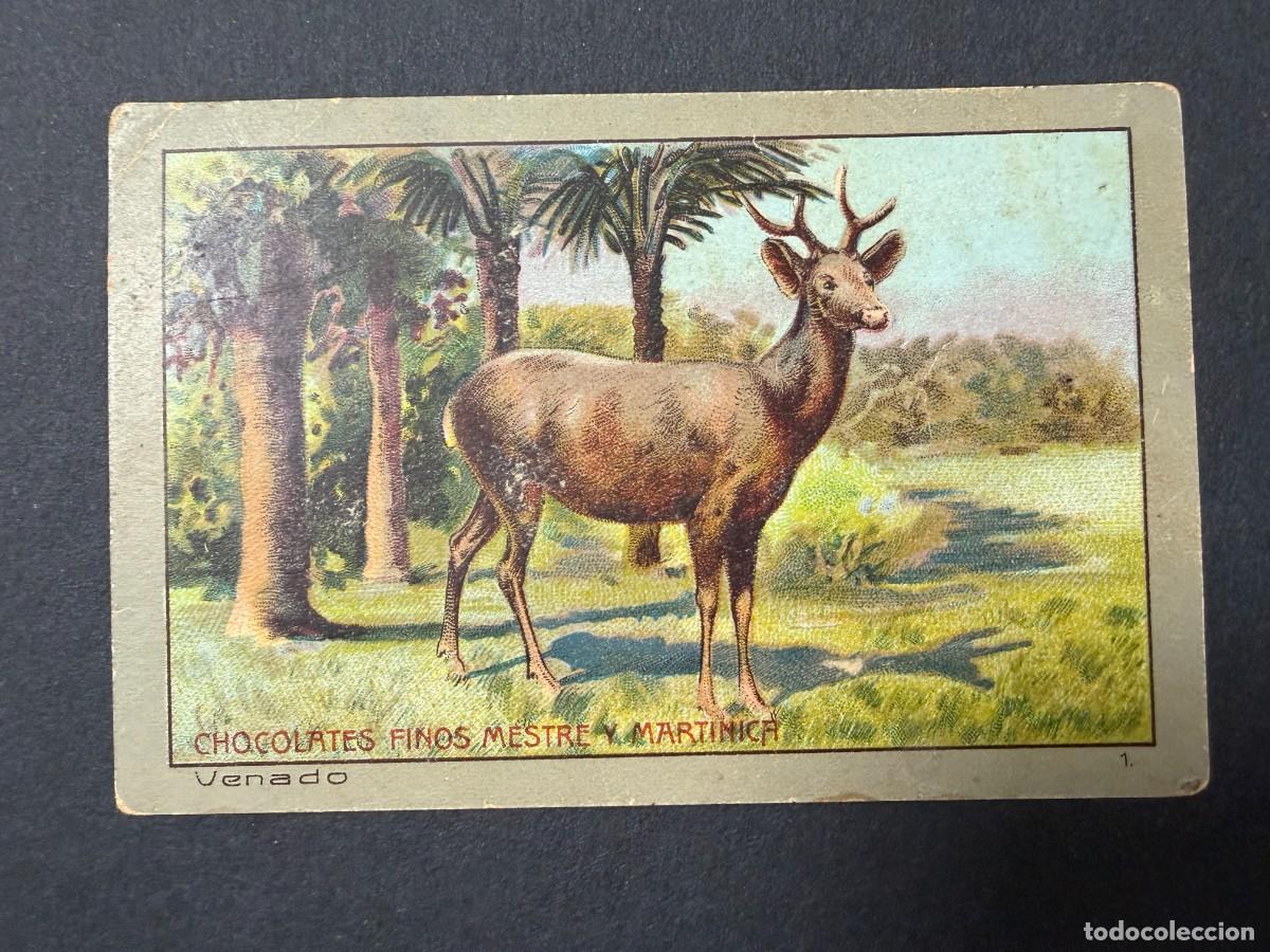 Coleccionismo Cromos antiguos: CROMO DE CHOCOLATE. CHOCOLATES FINOS MESTRE Y MARTINICA. VENADO.