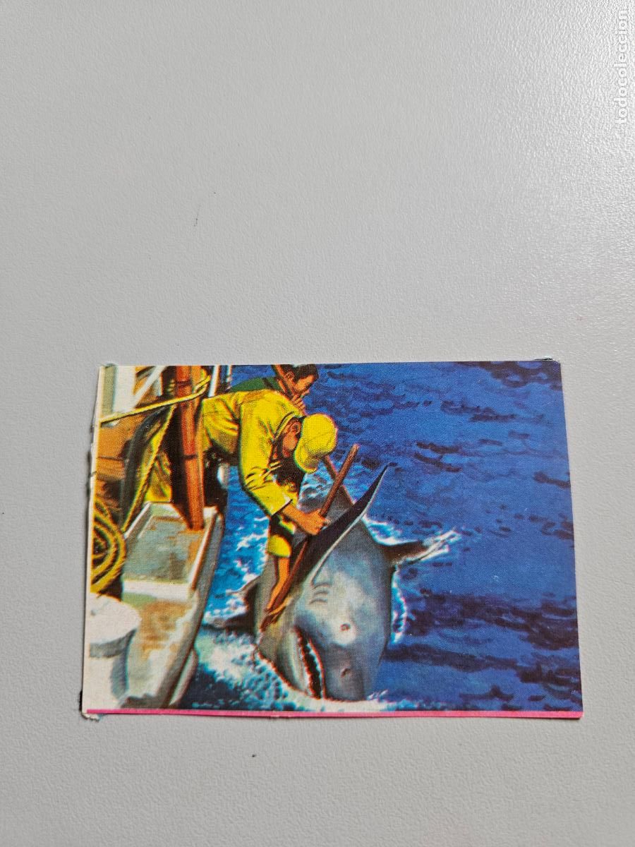 Coleccionismo Cromos antiguos: Cromo 34 &aacute;lbum Libro de las adivinanzas Bimbo 1974 / recuperado