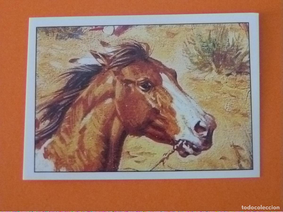 Coleccionismo Cromos antiguos: CROMO WEST SIN PEGAR N&ordm; 180 A&Ntilde;O 1993 ALBUM WEST PANINI