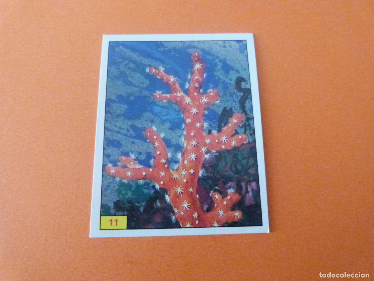 Collectable Antique Stickers: CROMO DINOSAURS SIN PEGAR N&ordm; 11 A&Ntilde;O 1992 ALBUM DINOSAURS PANINI
