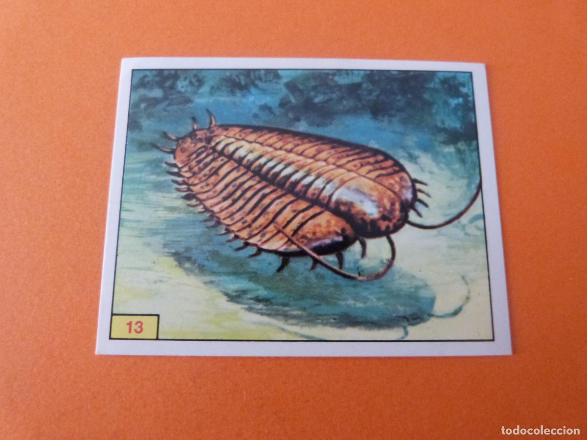 Collectable Antique Stickers: CROMO DINOSAURS SIN PEGAR N&ordm; 13 A&Ntilde;O 1992 ALBUM DINOSAURS PANINI