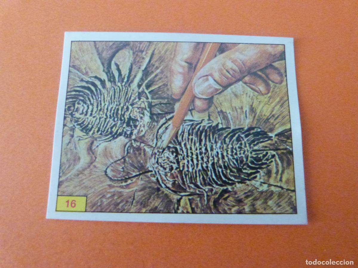 Sammeln alte Sammelbilder: CROMO DINOSAURS SIN PEGAR N&ordm; 16 A&Ntilde;O 1992 ALBUM DINOSAURS PANINI