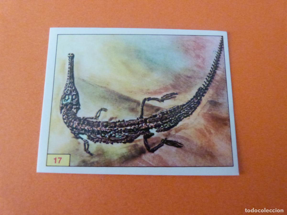 Collectable Antique Stickers: CROMO DINOSAURS SIN PEGAR N&ordm; 17 A&Ntilde;O 1992 ALBUM DINOSAURS PANINI
