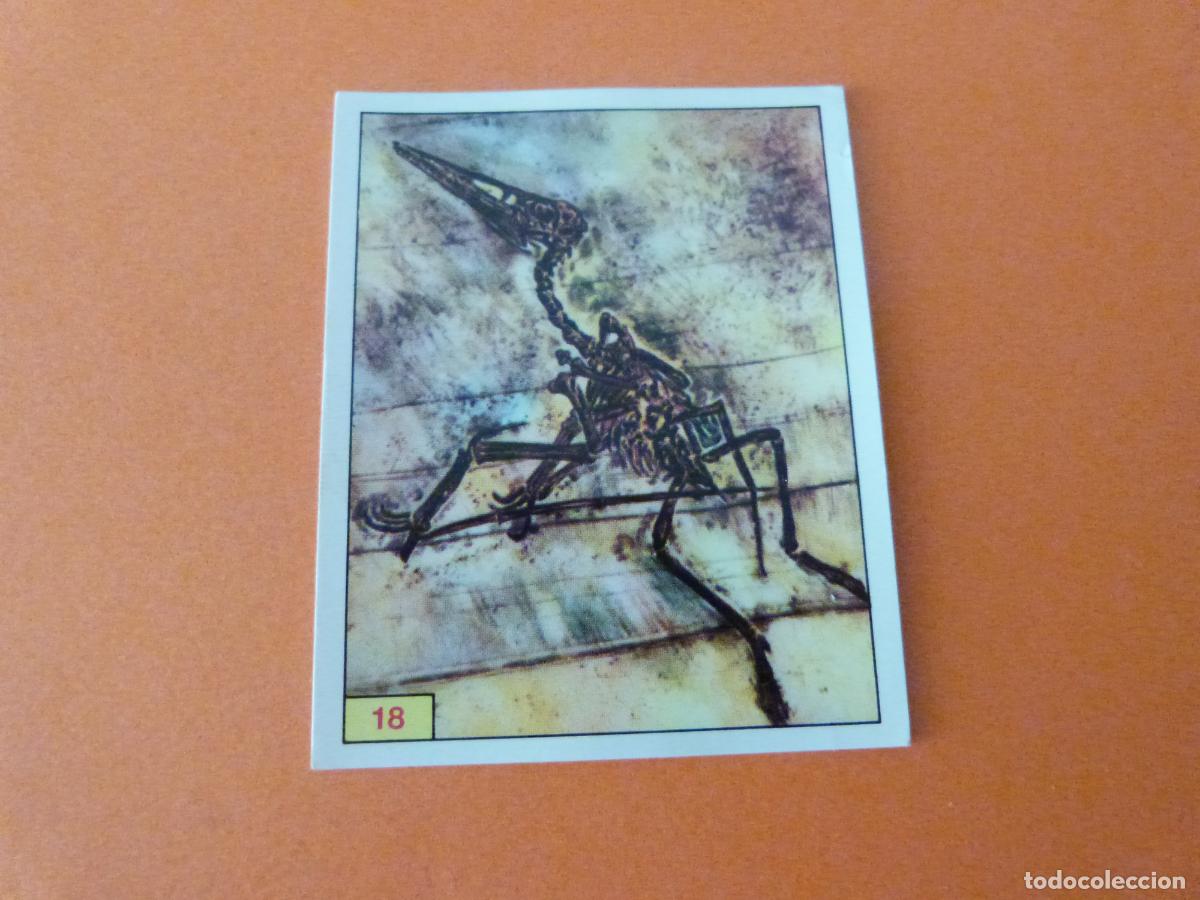 Collectable Antique Stickers: CROMO DINOSAURS SIN PEGAR N&ordm; 18 A&Ntilde;O 1992 ALBUM DINOSAURS PANINI