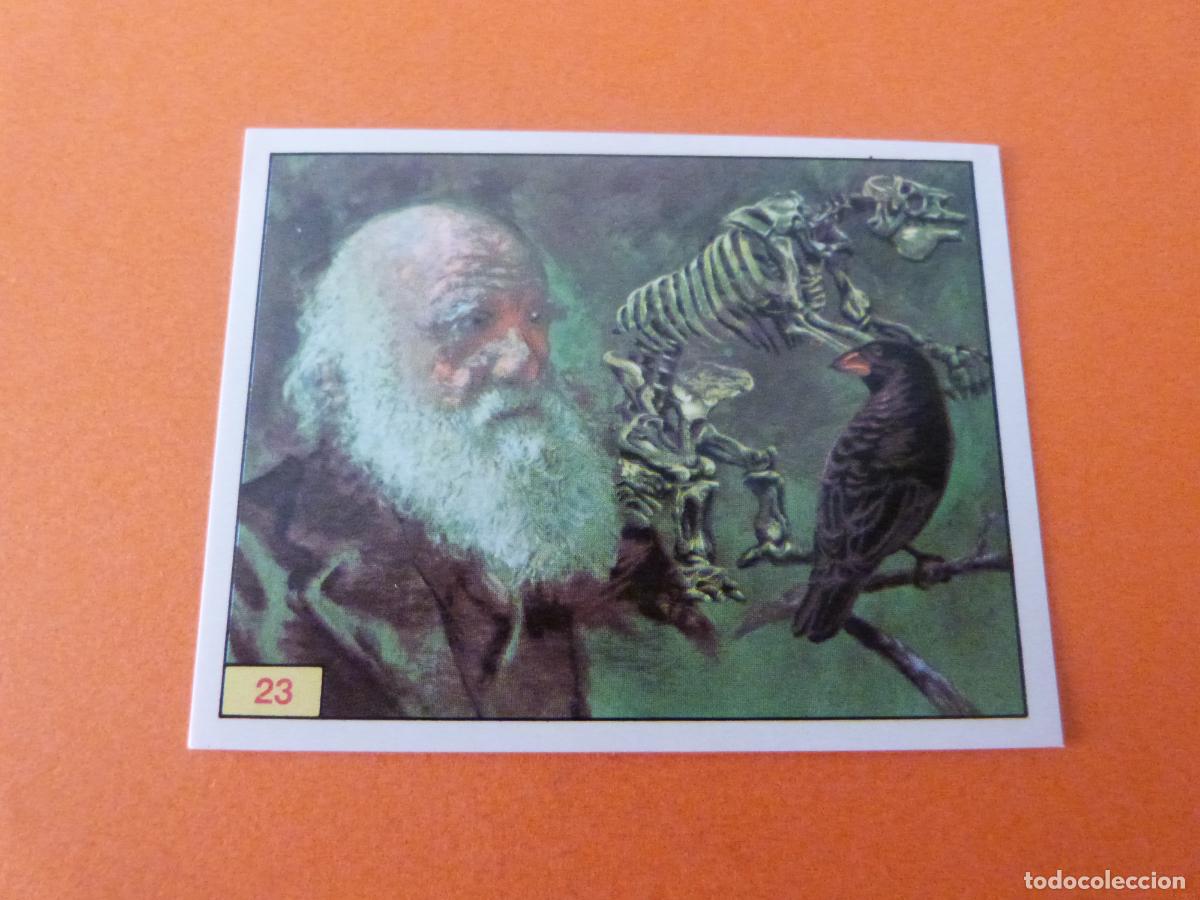 Collezionismo Figurine antiche: CROMO DINOSAURS SIN PEGAR N&ordm; 23 A&Ntilde;O 1992 ALBUM DINOSAURS PANINI