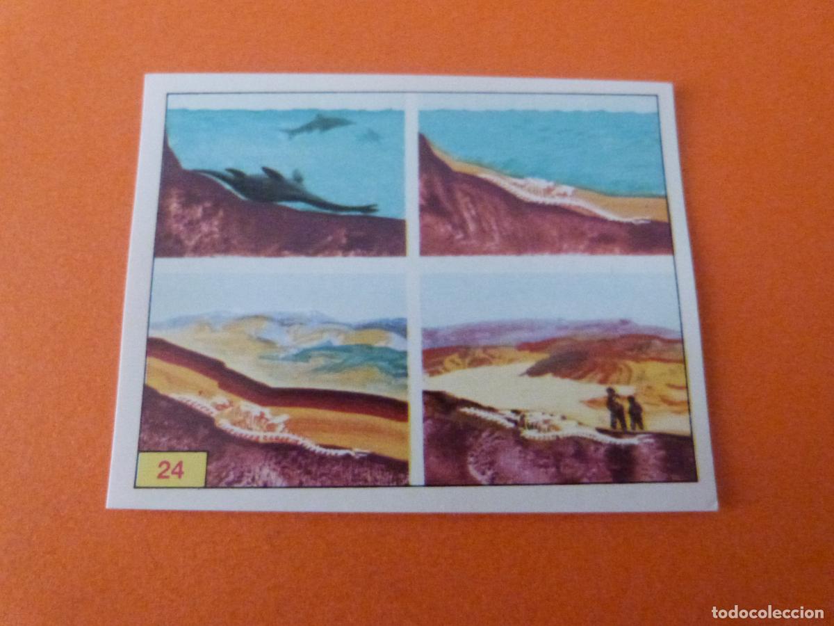 Collezionismo Figurine antiche: CROMO DINOSAURS SIN PEGAR N&ordm; 24 A&Ntilde;O 1992 ALBUM DINOSAURS PANINI
