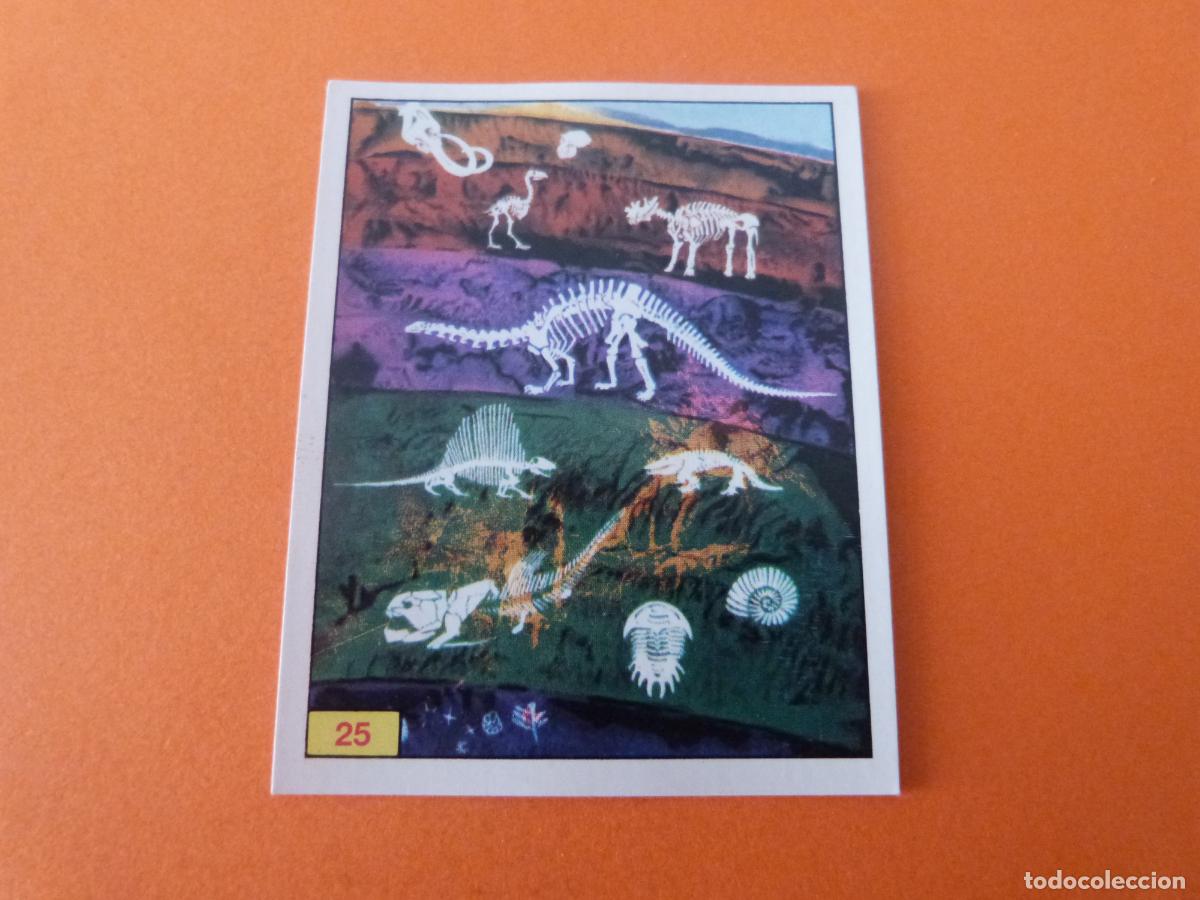Collezionismo Figurine antiche: CROMO DINOSAURS SIN PEGAR N&ordm; 25 A&Ntilde;O 1992 ALBUM DINOSAURS PANINI
