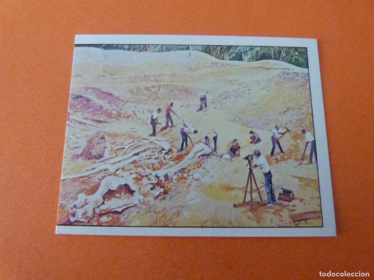 Collezionismo Figurine antiche: CROMO DINOSAURS SIN PEGAR N&ordm; 27 A&Ntilde;O 1992 ALBUM DINOSAURS PANINI