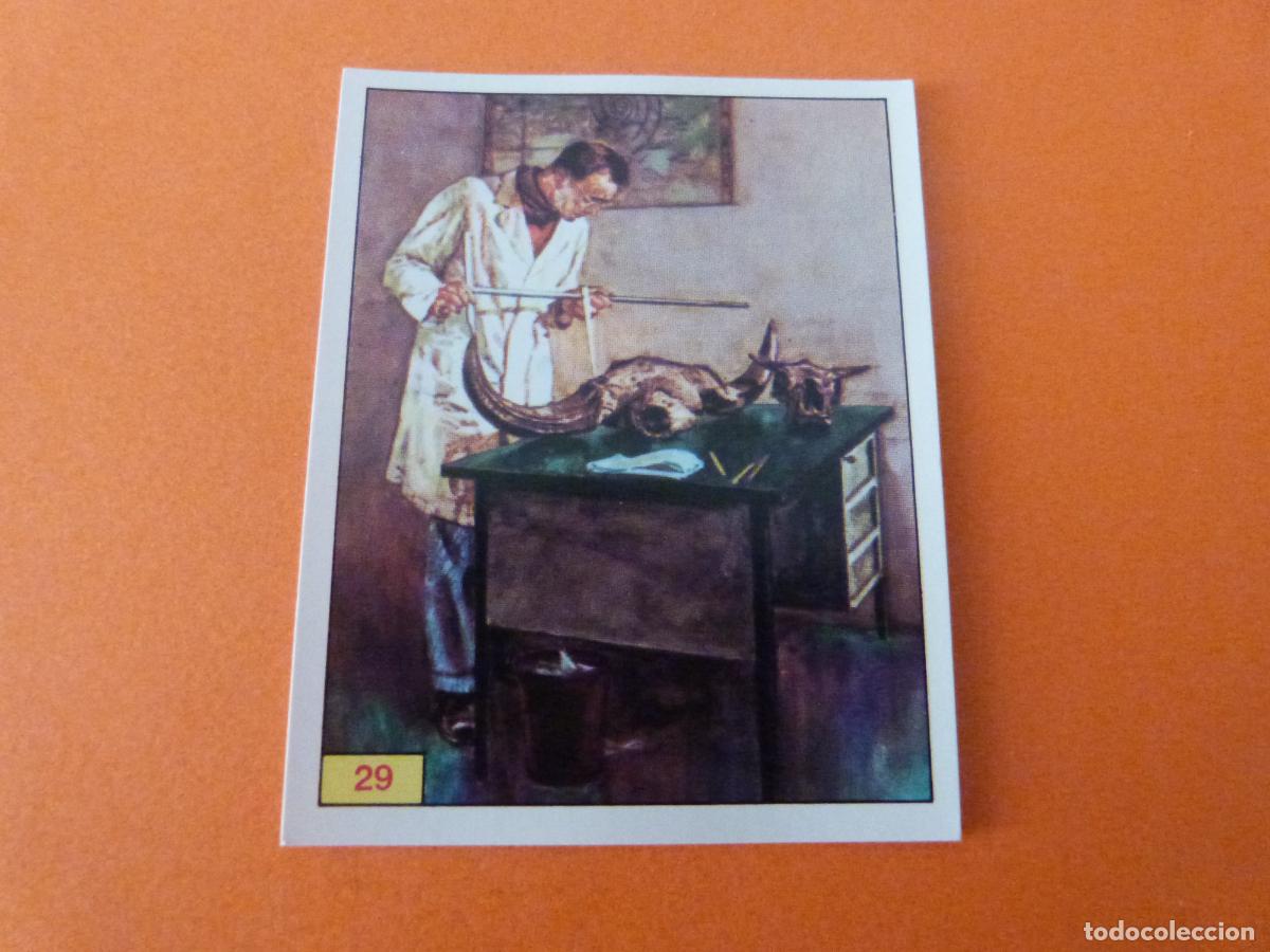 Collezionismo Figurine antiche: CROMO DINOSAURS SIN PEGAR N&ordm; 29 A&Ntilde;O 1992 ALBUM DINOSAURS PANINI